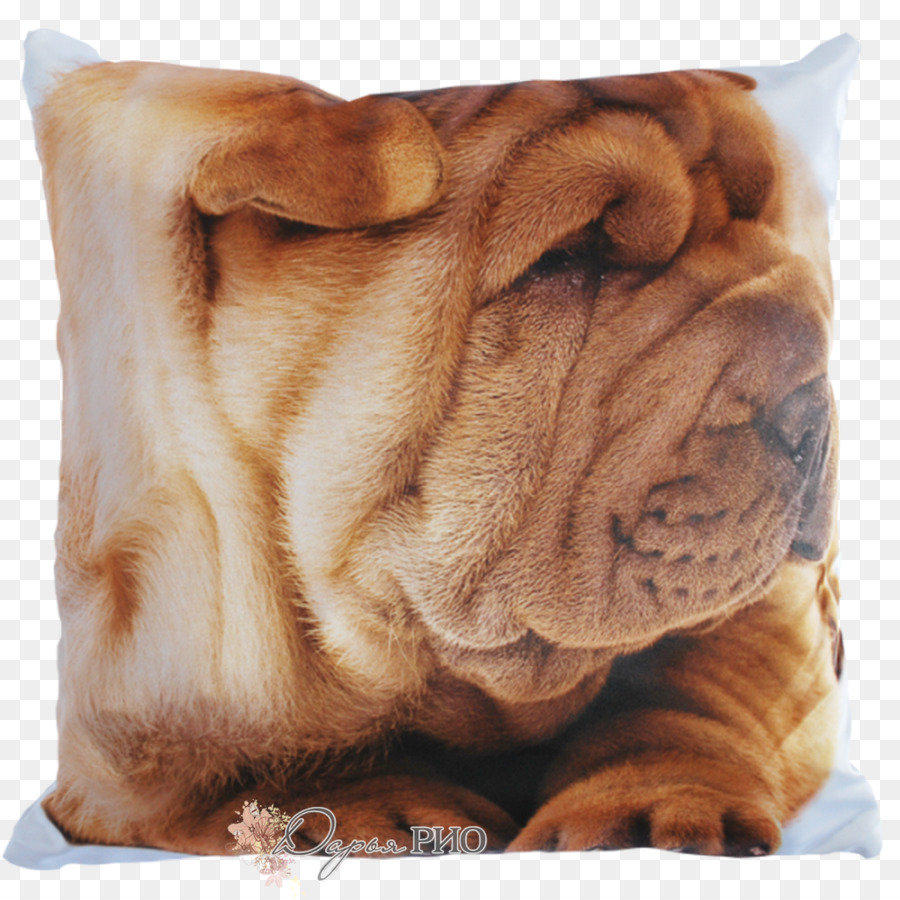 Shar Pei，Oripei PNG