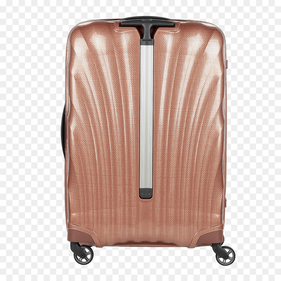 Tas Tangan，Bagasi PNG