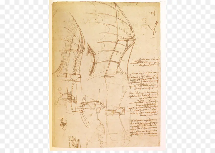 Sketsa Leonardo Da Vinci，Menggambar PNG