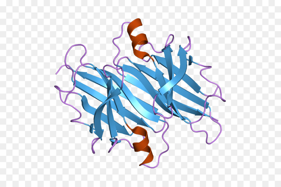 Struktur Protein，Molekul PNG