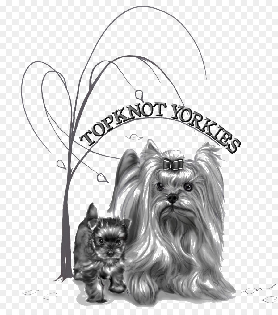 Yorkshire Terrier，Skye Terrier PNG