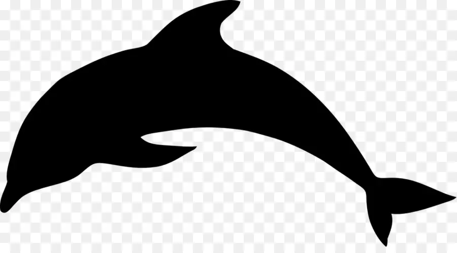 Orca，Paus PNG