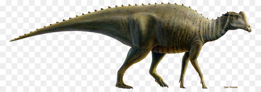 Stegosaurus，Prasejarah PNG