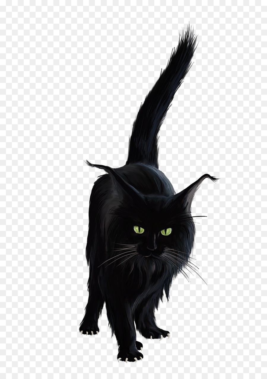 Kucing Hitam，Licik PNG