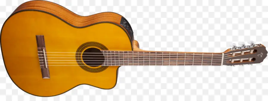 Gibson Chet Atkins Sst，Takamine Gitar PNG