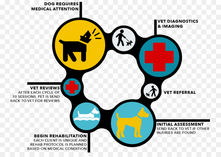 Proses Kedokteran Hewan，Dokter Hewan PNG