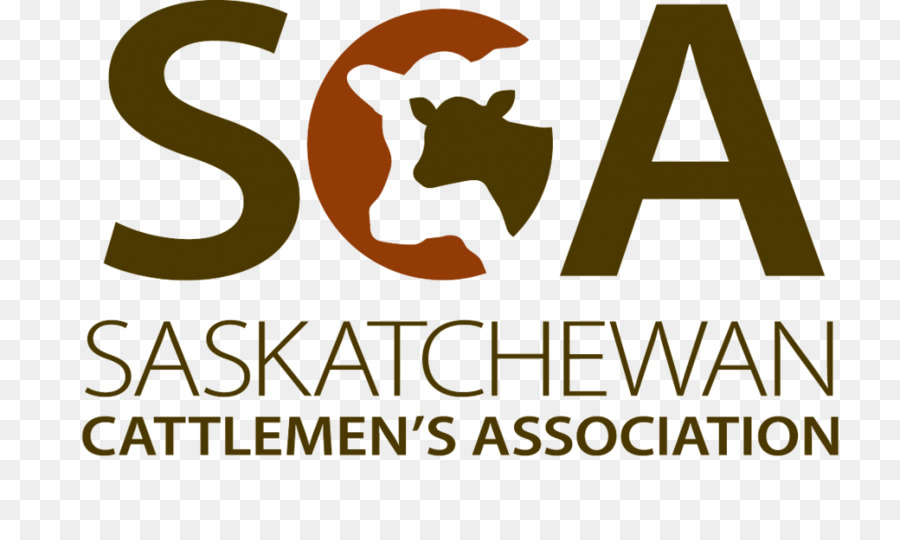 Saskatchewan Cattlemen S Association，Sapi Simmental PNG