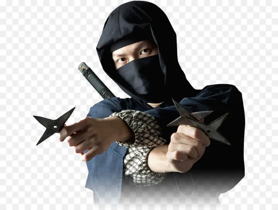 Ninja Sejati，Ninja PNG