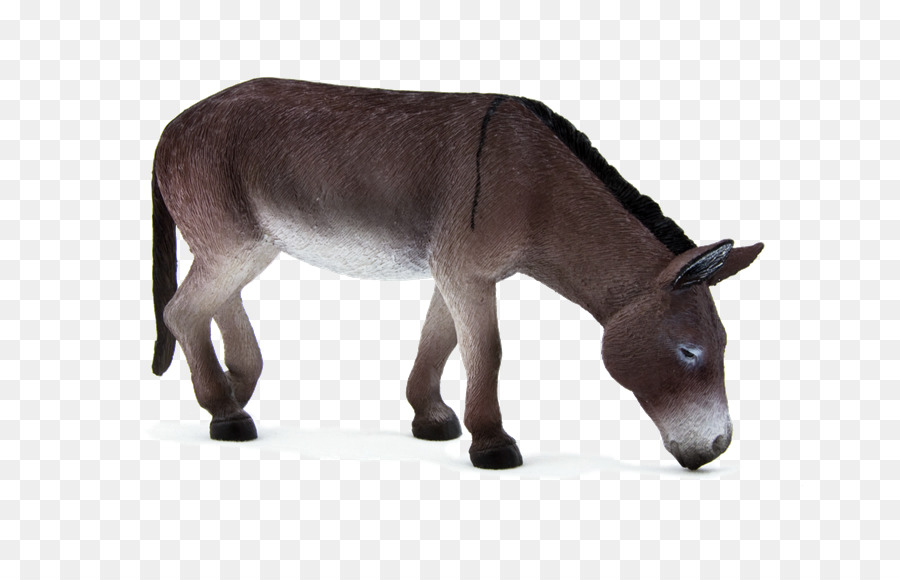 Kambing，Ternak PNG