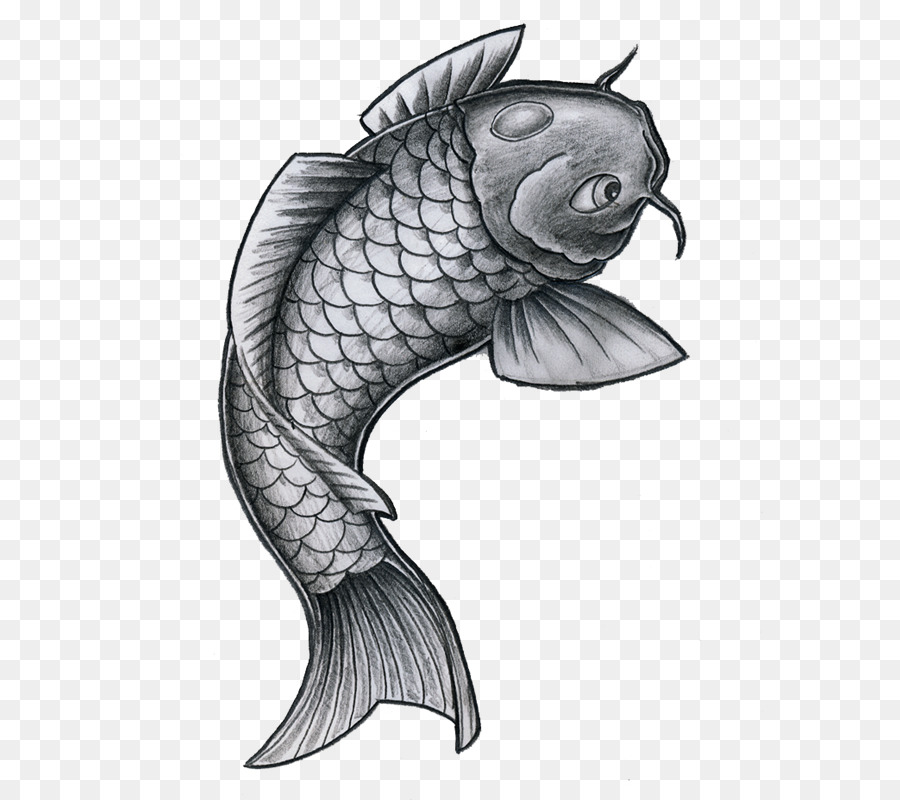 Gambar Ikan Koi Tato - Gambar Ikan HD