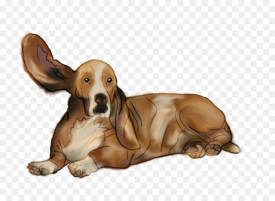 Anjing Basset，Anjing PNG