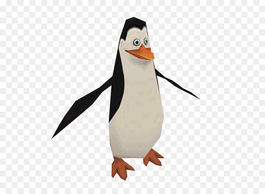 Penguin，Kartun PNG