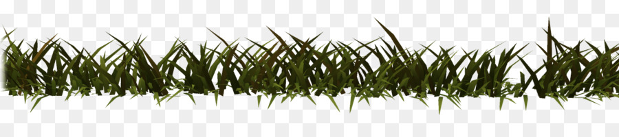 Rumput，Garis PNG