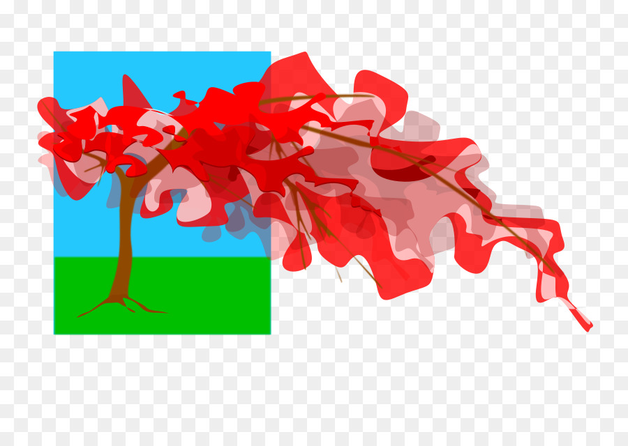 20180115，Royal Poinciana PNG