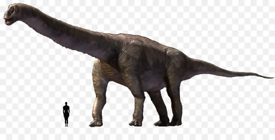 Dinosaurus，Prasejarah PNG