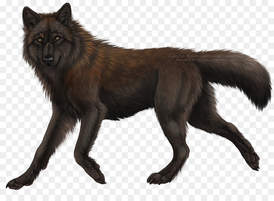 Anjing，Wolfdog PNG