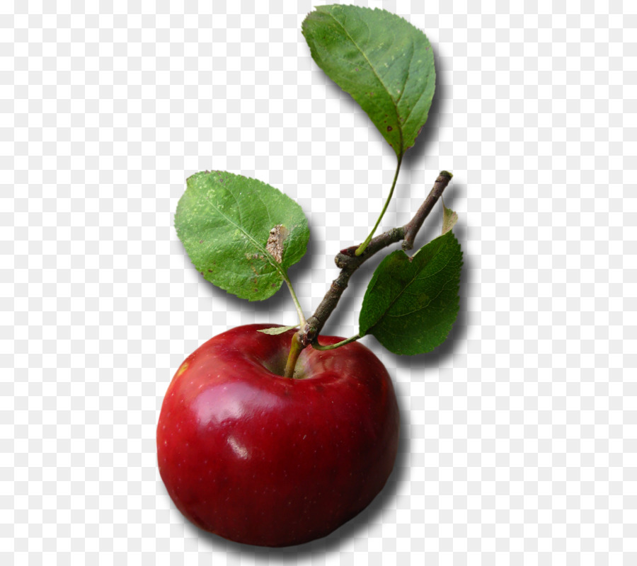 Apple，Makanan PNG