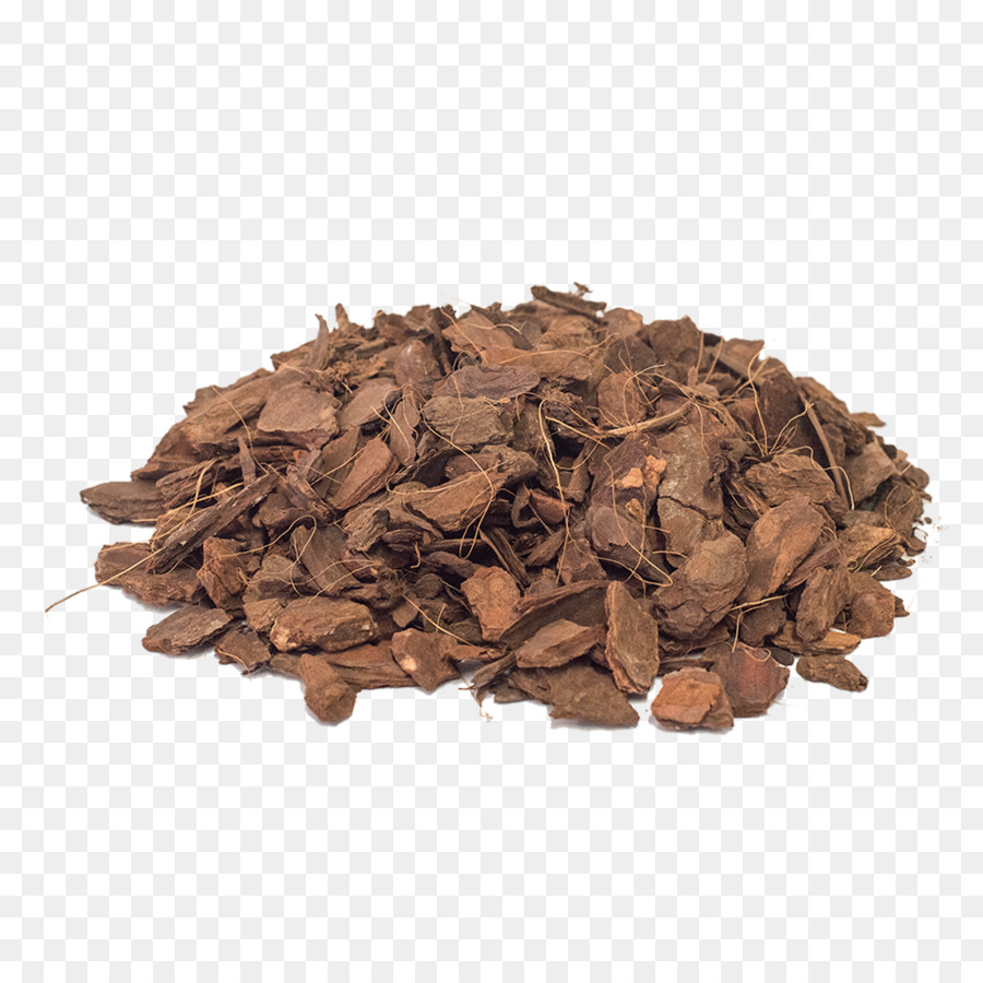 Hojicha，Biji Kakao PNG