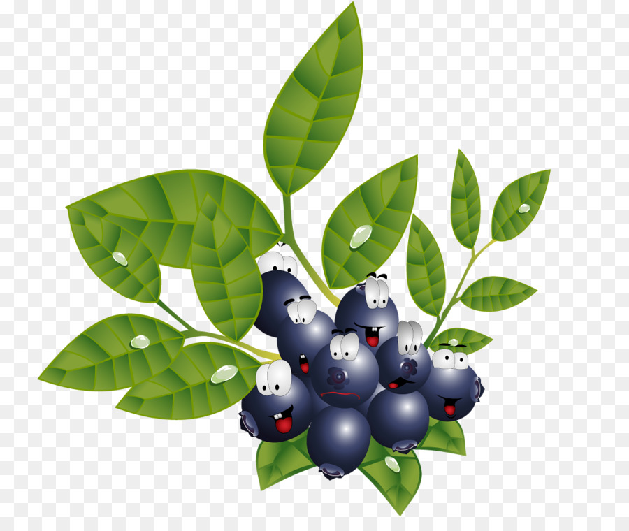 Blueberry，Daun Daun PNG