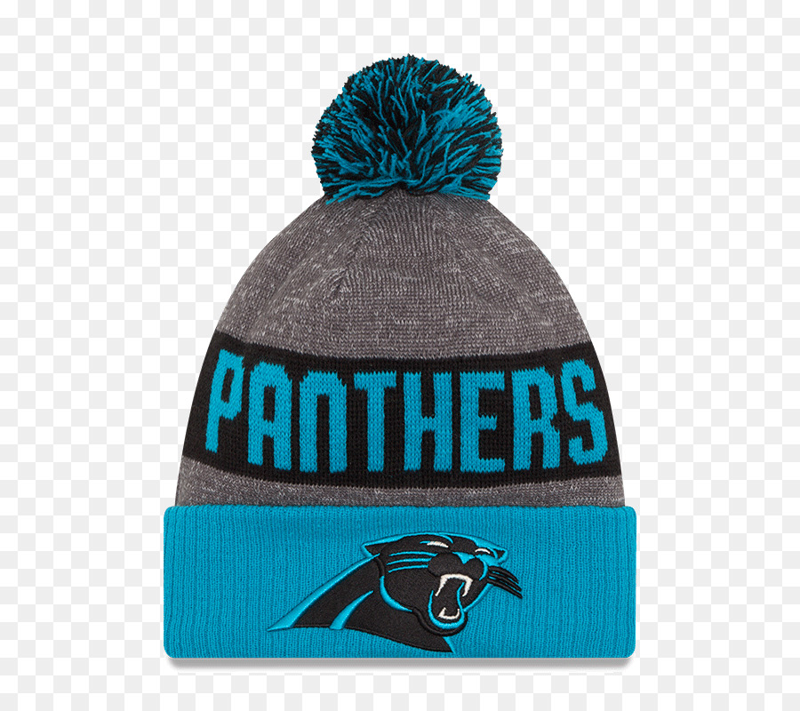 Beanie Panther，Topi PNG