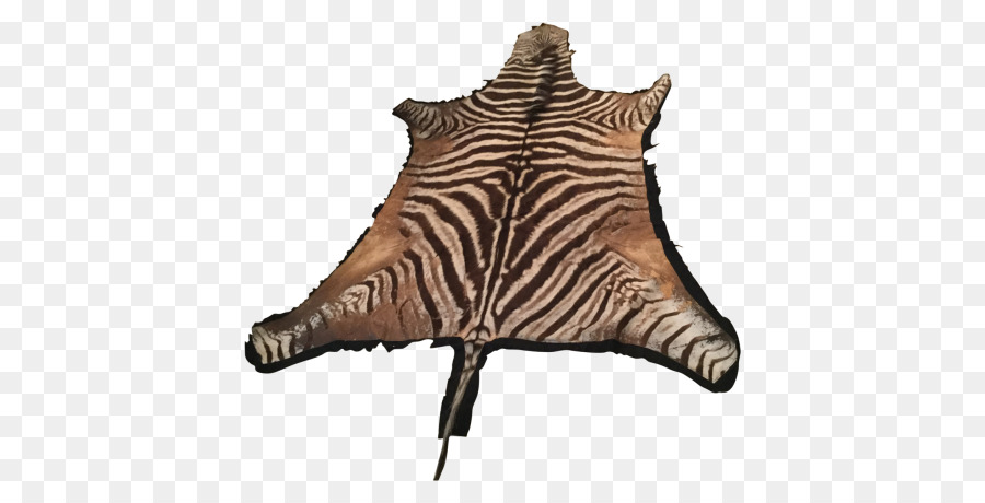 Zebra，Karpet PNG