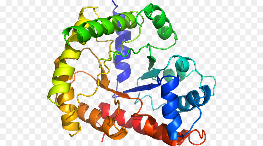 Struktur Protein Berwarna Warni，Protein PNG