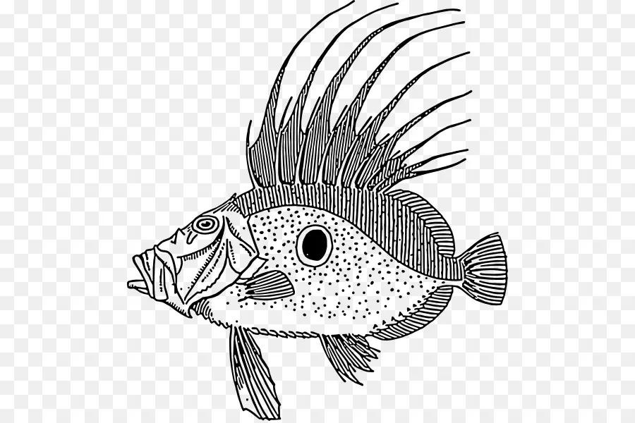 Ikan，Garis Seni PNG