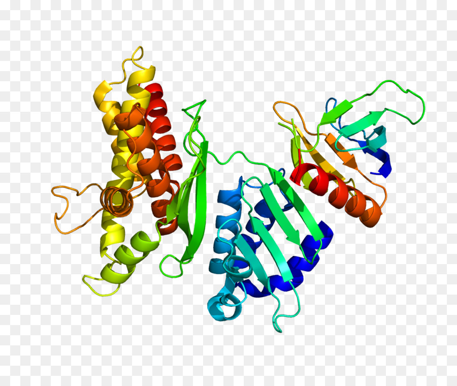 Struktur Protein，Biologi PNG