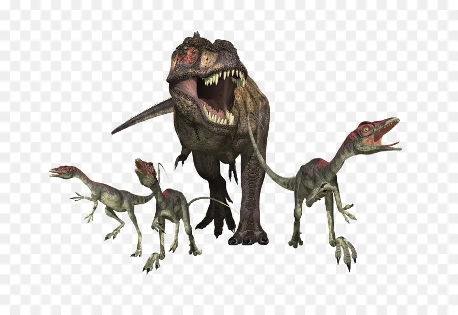 Tyrannosaurus，Velociraptor PNG