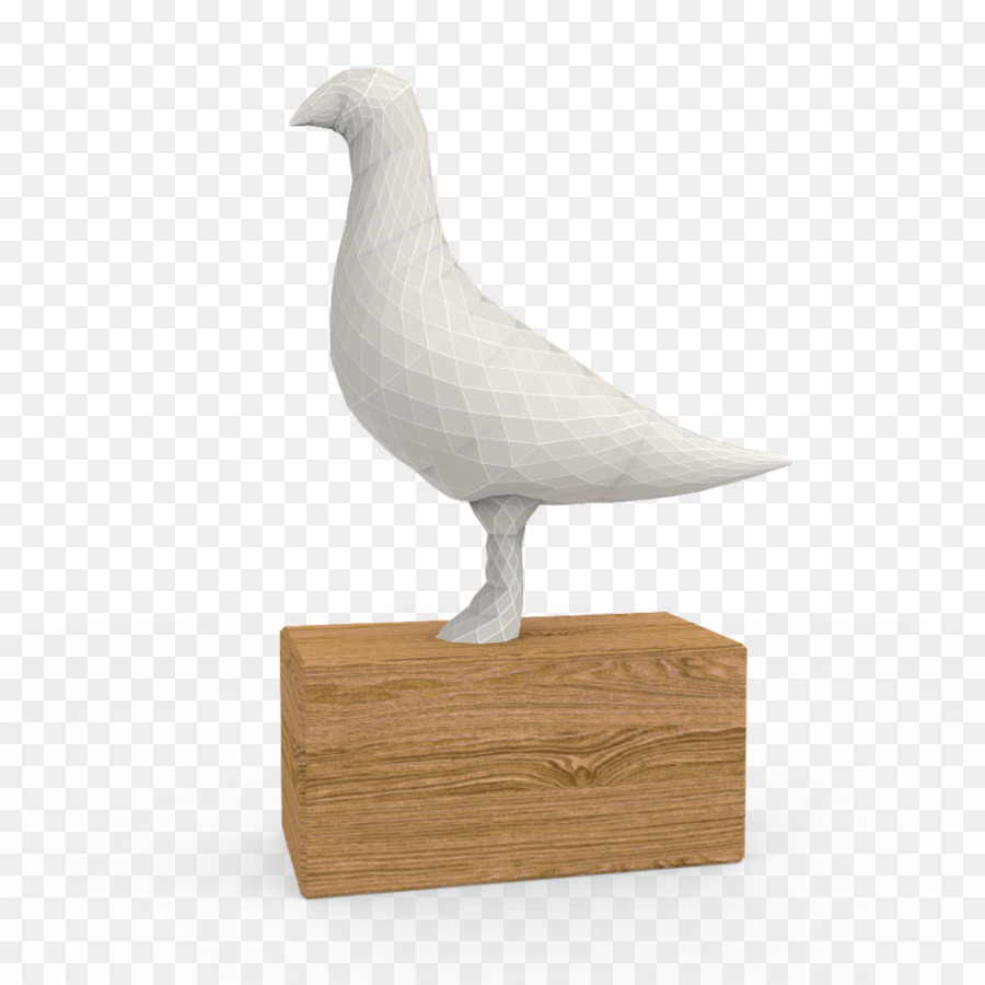 Homing Pigeon，Columbiformes PNG