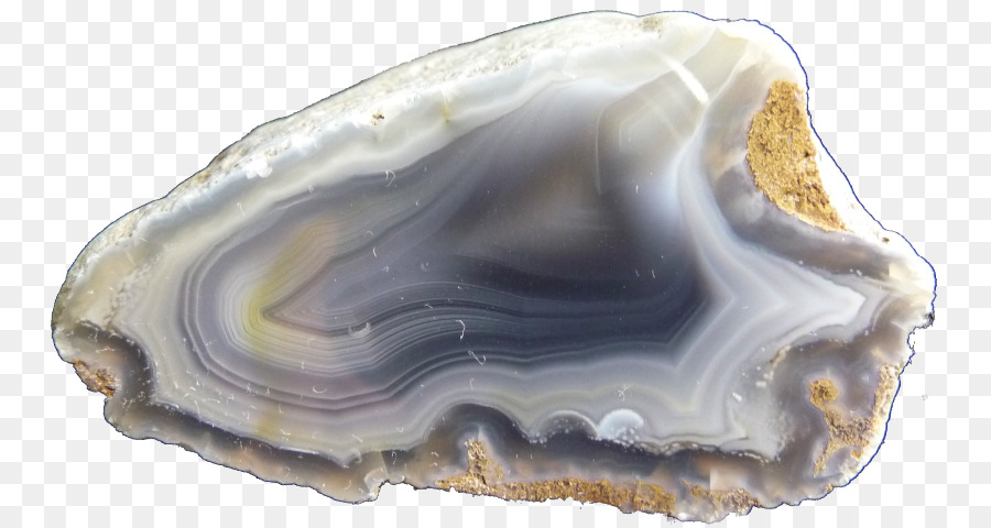 Kerang，Mineral PNG