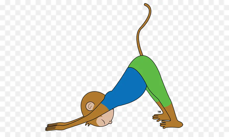 Monyet Yoga，Pose PNG