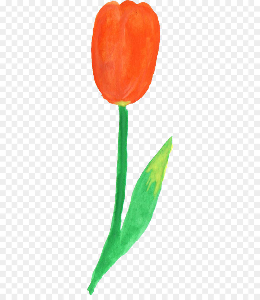 Tulip，Pabrik Batang PNG