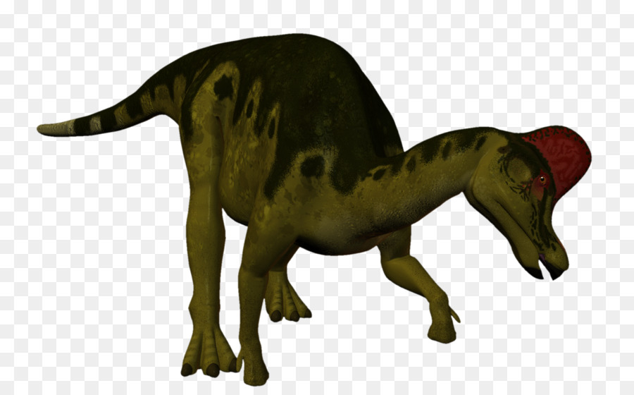 Tyrannosaurus，Velociraptor PNG