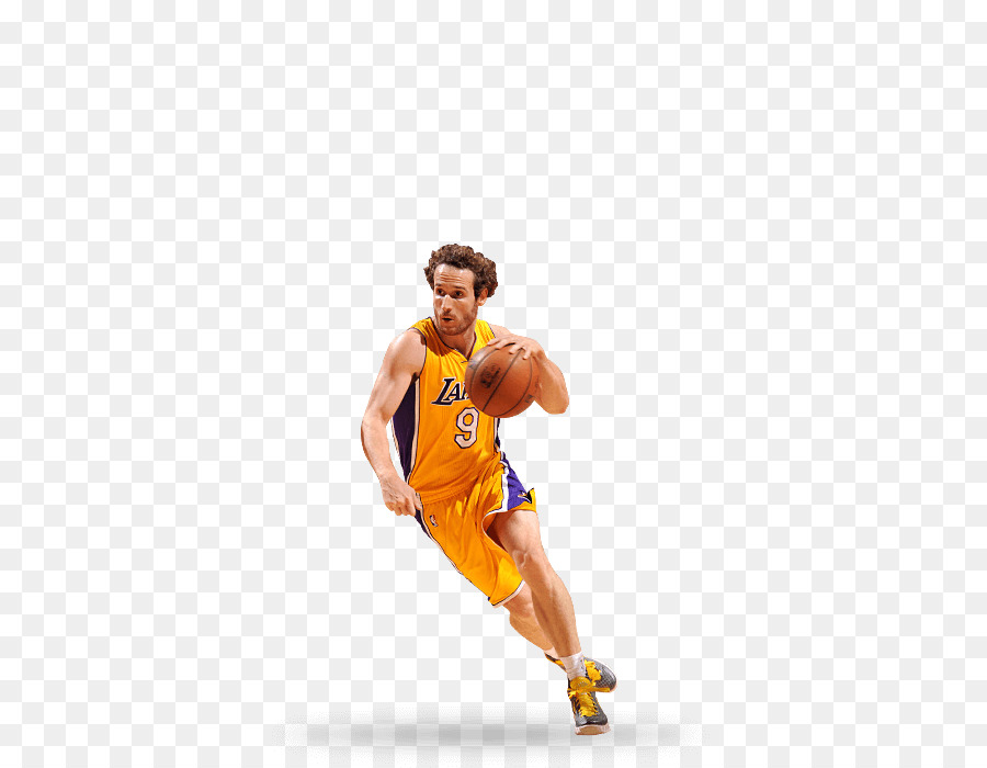 Los Angeles Lakers，201617 Los Angeles Lakers Musim PNG