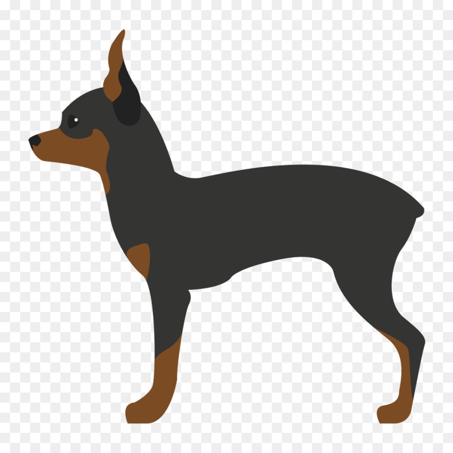 Corgi，Peliharaan PNG