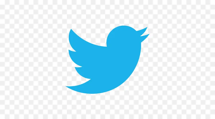 Logo Twitter，Media Sosial PNG