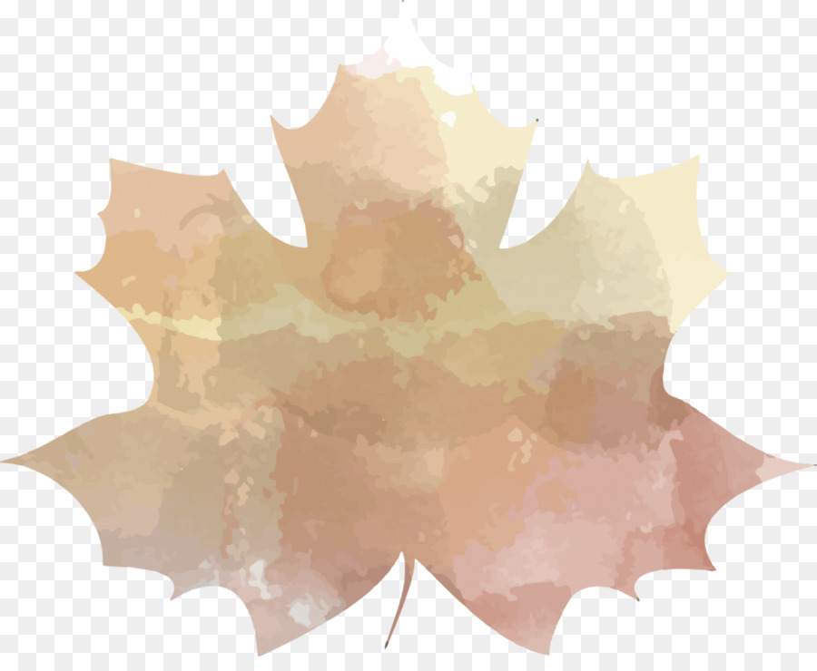 Daun Maple，Maple PNG