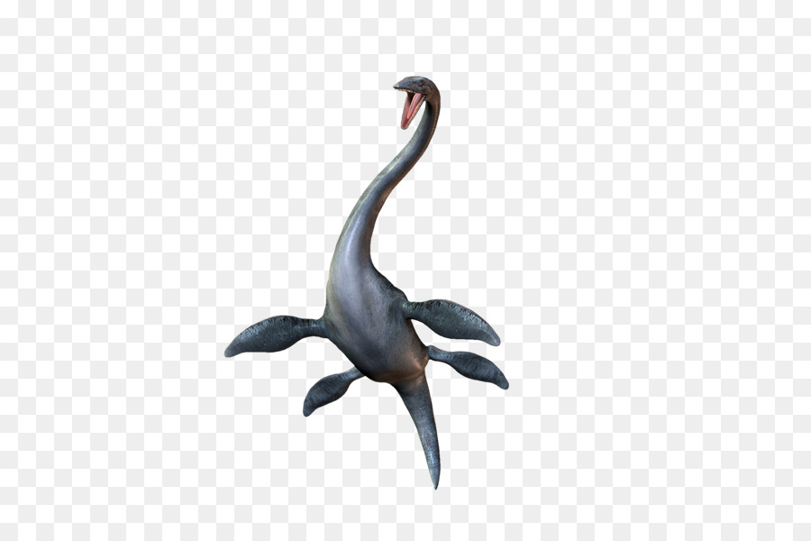 Plesiosaurus，Dinosaurus PNG