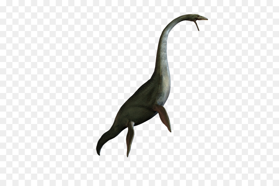 Plesiosaurus，Dinosaurus PNG