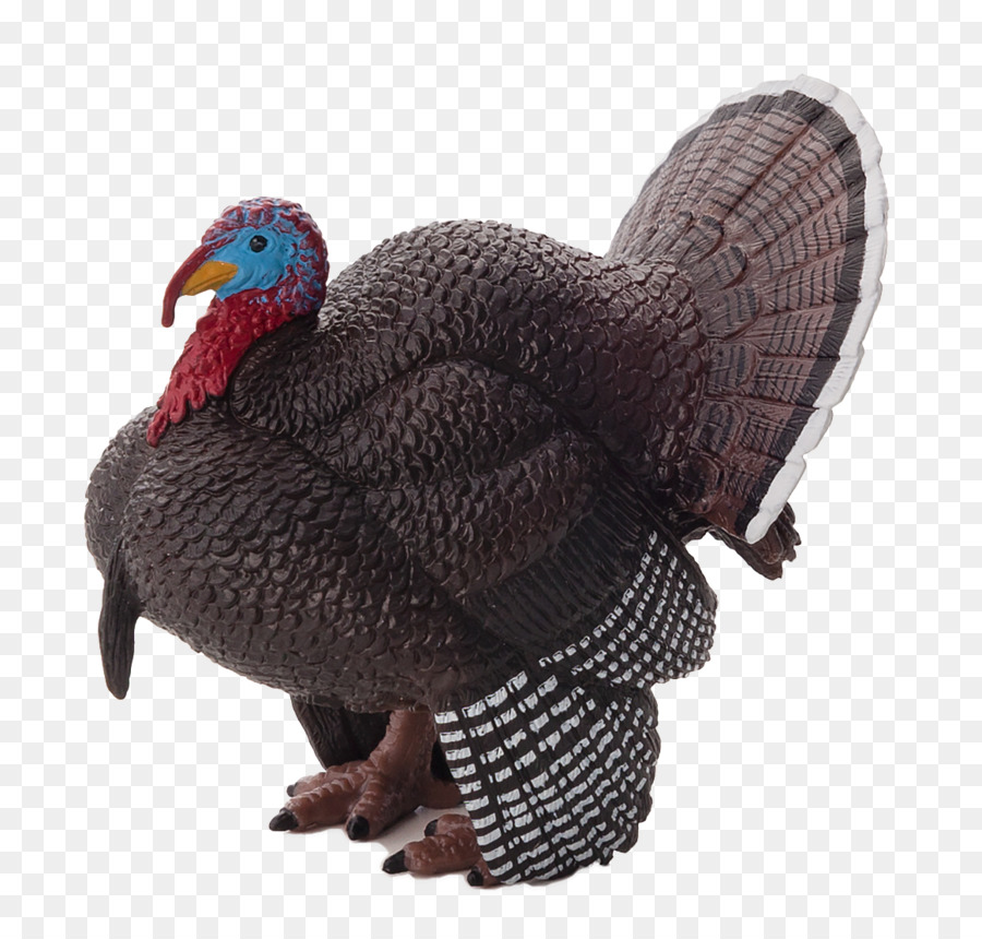 Turki，Dijinakkan Turki PNG