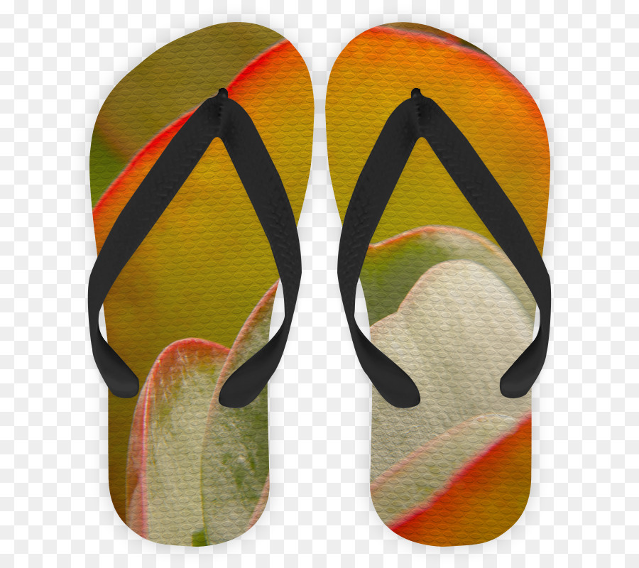 Flipflops，Seni PNG