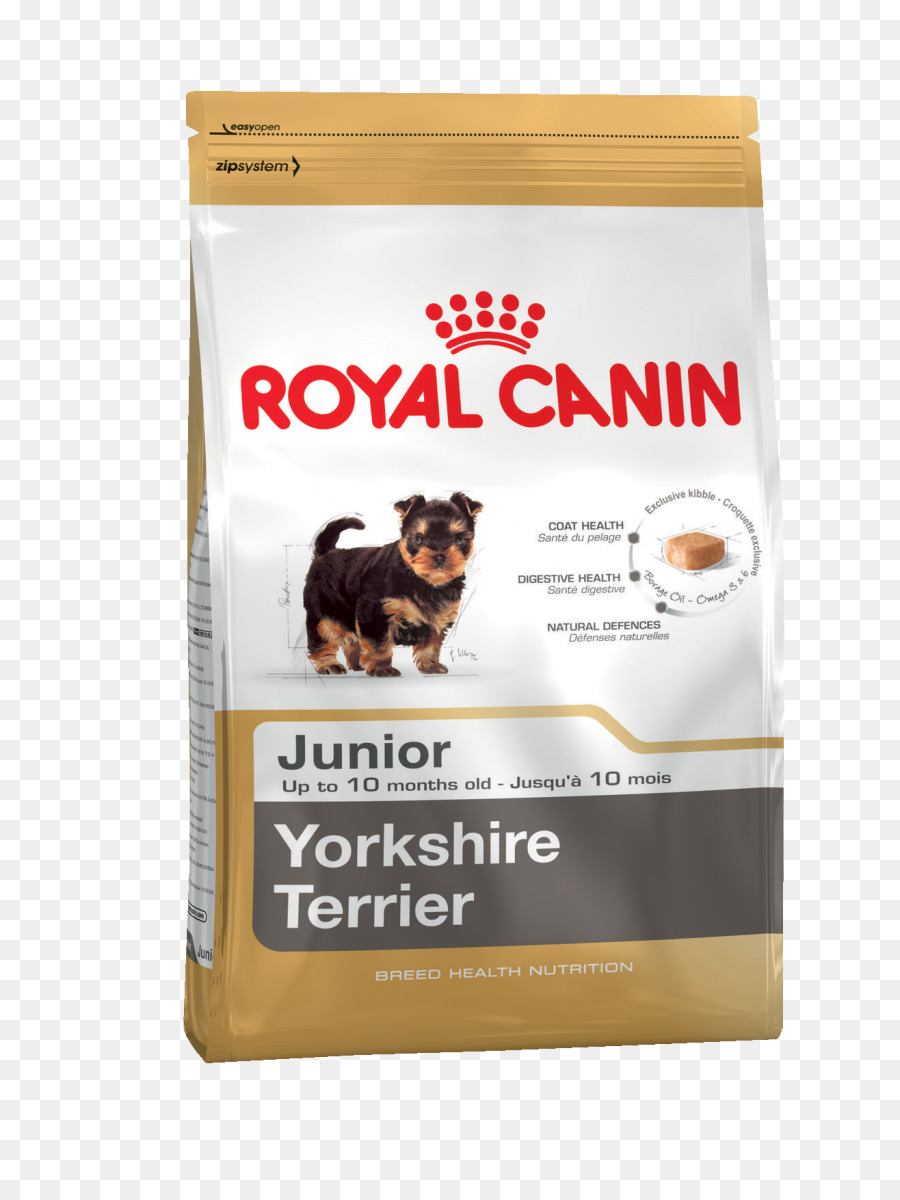 Yorkshire Terrier，Makanan Kucing PNG