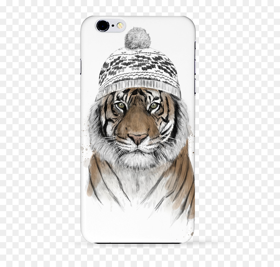 Harimau Dengan Topi，Kucing Besar PNG