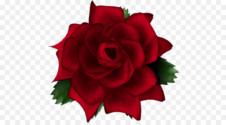 Get Mentahan Bunga Mawar  Picsay Pro Images Mentahanku