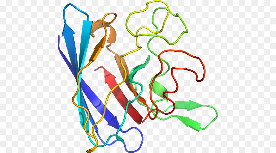 Struktur Protein，Biologi PNG