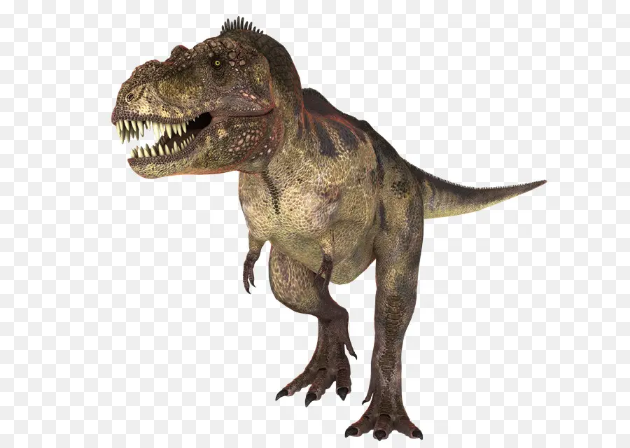 T Rex，Gigi PNG