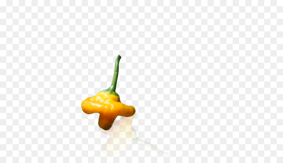 Habanero，Cabai PNG