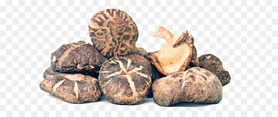 Shiitake，Jamur PNG