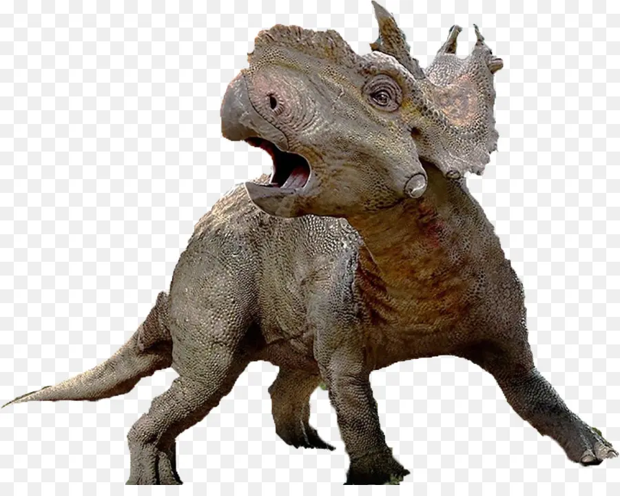Dinosaurus，Okapi PNG